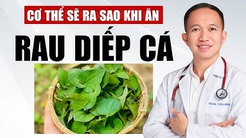 Cơ Thể Sẽ Ra Sao Khi Ăn Rau Diếp Cá | Bác Sĩ Trần Minh