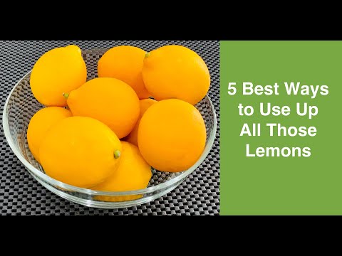 What to do with Lemons?  🍋🍋🍋 5 Best Ways to Use Up All Those Lemons