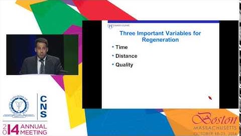 Advances in the Repair of Peripheral Nerve Injury