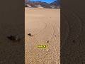 The Death Valley Sailing Stones Move by Themselves? #SailingStones #RacetrackPlaya #DeathValley