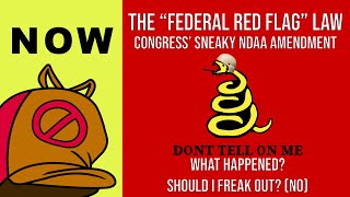 NOW: The Federal Red Flag Law Snuck in NDAA - Should I Freak Out (probably not)