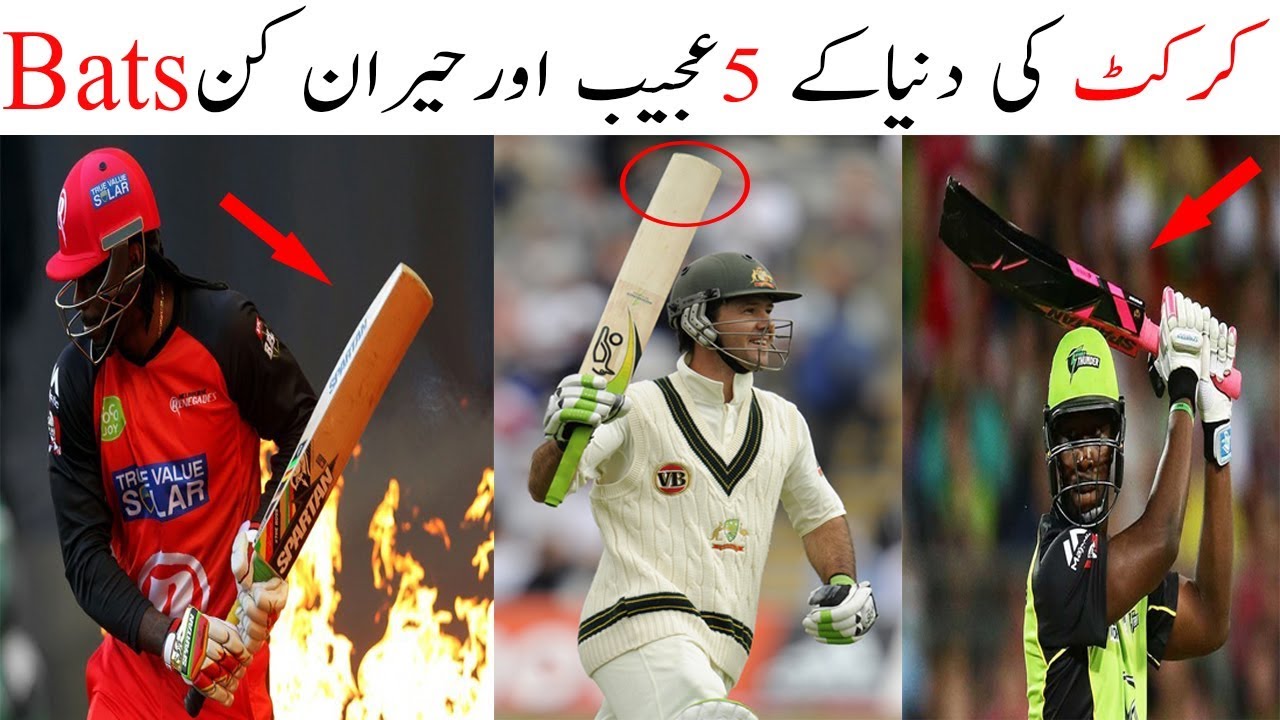 Top 5 Strange Cricket Bats in the Cricket History in Urdu\Hindi YouTube