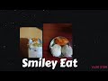 Miniature Tiffen &amp; Lunch #miniture recipe #smiley Eat #Trending shorts