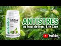 Secretul Antistres: Analiza Completă a Suplimentului cu Noni de la Life Care