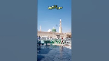 SURAH AT-TIN - سورة التين Beautiful Voice In Masjid Nabawi #surahtin #attin #egzonibrahimi