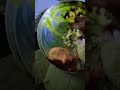 हम भटकते हैं क्यों भटकते #shortsfeed #trndig #shortvideo #song #