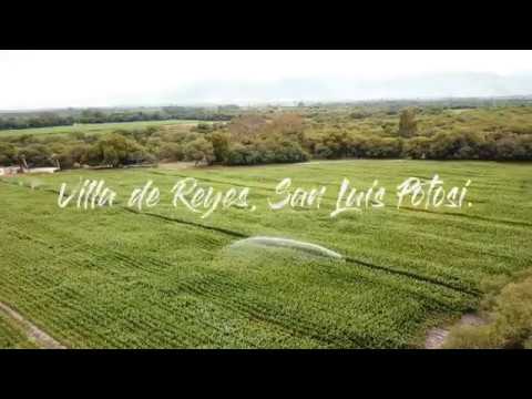 Villa de Reyes, San Luis Potosí México. A short film.