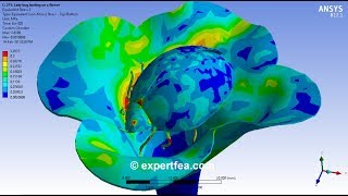 ANSYS WB Explicit Dynamics - FEA simulation of a Lady bug landing abruptly on a flower