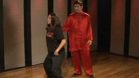 Kung Fu Tan Tui 2 Sleeve Block Reverse Punch