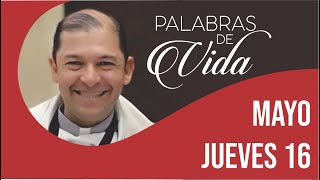 Reflexión del Evangelio jueves 16 mayo 2024, Padre Antonio Aguirre