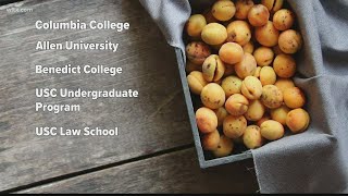 Food drive aims to combat food insecurity among college kids