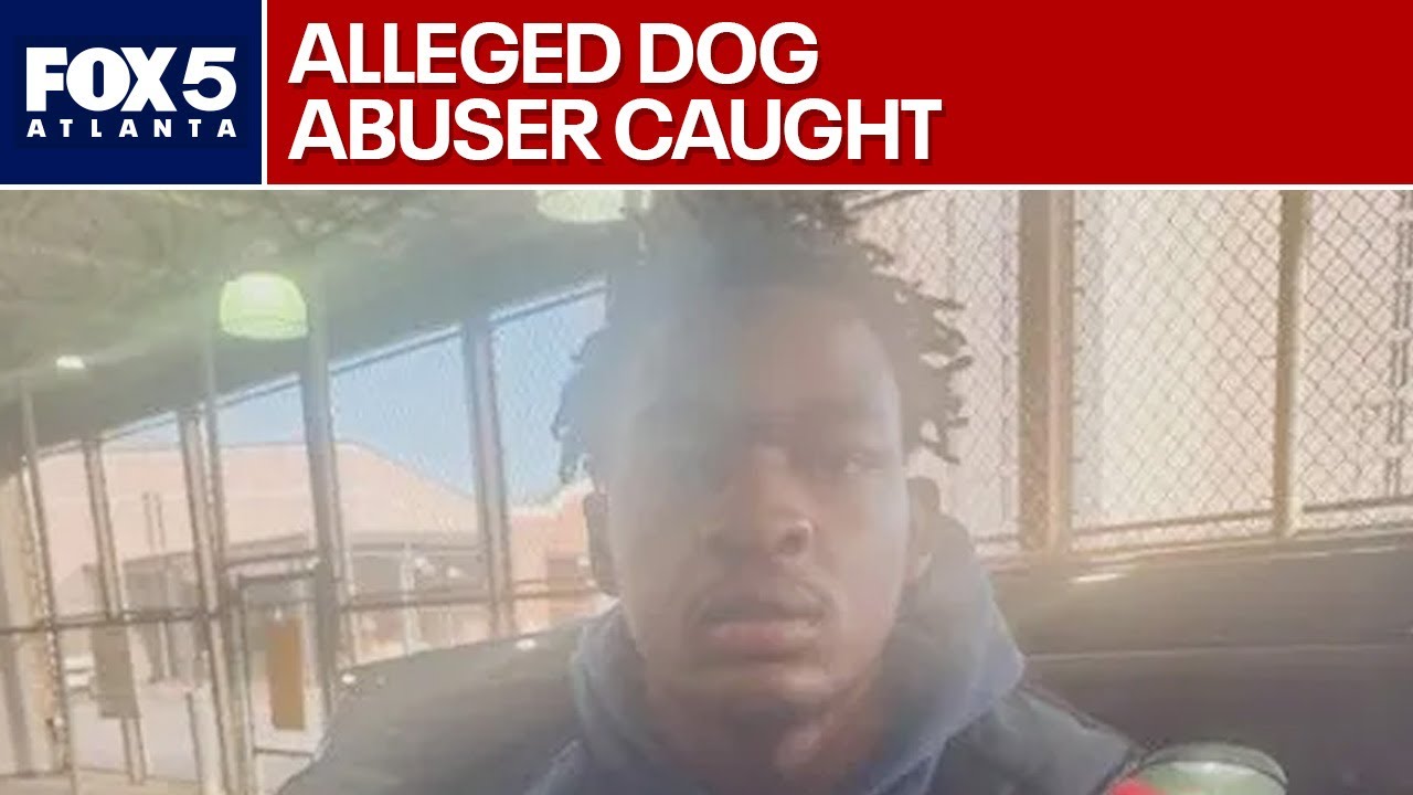 Man films himself torturing dog for 3 months, police say | FOX 5 News ...