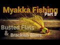 Fishing myakka river series  part 3 busted flats  brackish blues