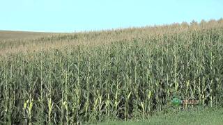 Seed Selection #654 (Air Date 10/17/10)