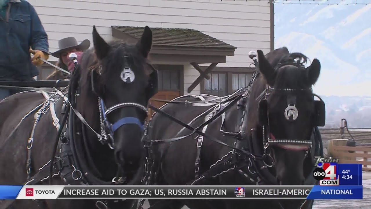 Sleigh ride tours hosted at American West Heritage Center