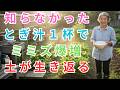 【 99%の家庭菜園が知らない 】捨てないで‼︎そのとぎ汁を土に入れると…3日で微生物爆増→2週間でミミズ激増→30日で畑が完全に生まれ変わる【米のとぎ汁発酵液】【ミミズ増やし方】【土壌改良30日】