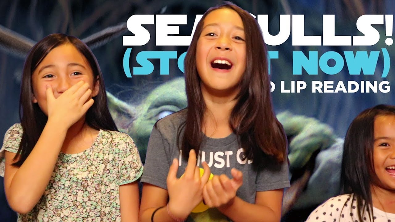 SEAGULLS Stop It Now By Bad Lip Reading Reaction Video YouTube Seagulls stop it now by bad lip reading reaction video youtube