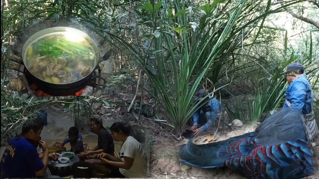 ไปยามกับดักหมูป่า