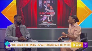 Famous "The Secret Between Us" Actor Michael Jai White Net Worth