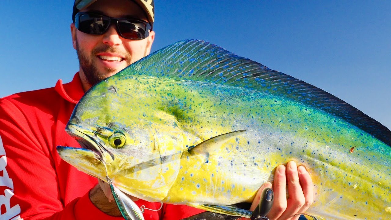 FADtastic fishing! A network of FADs to be deployed right around WA