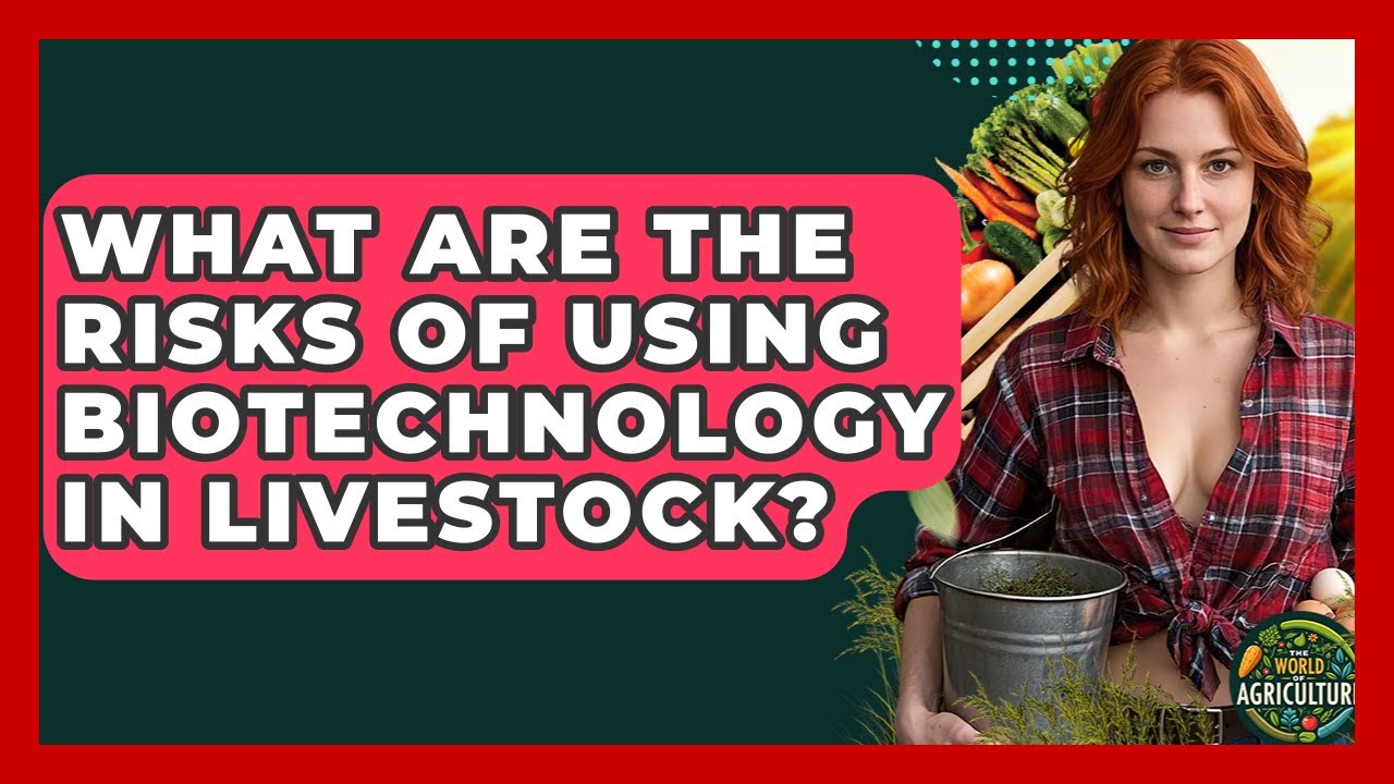 What Are The Risks Of Using Biotechnology In Livestock? - The World of Agriculture