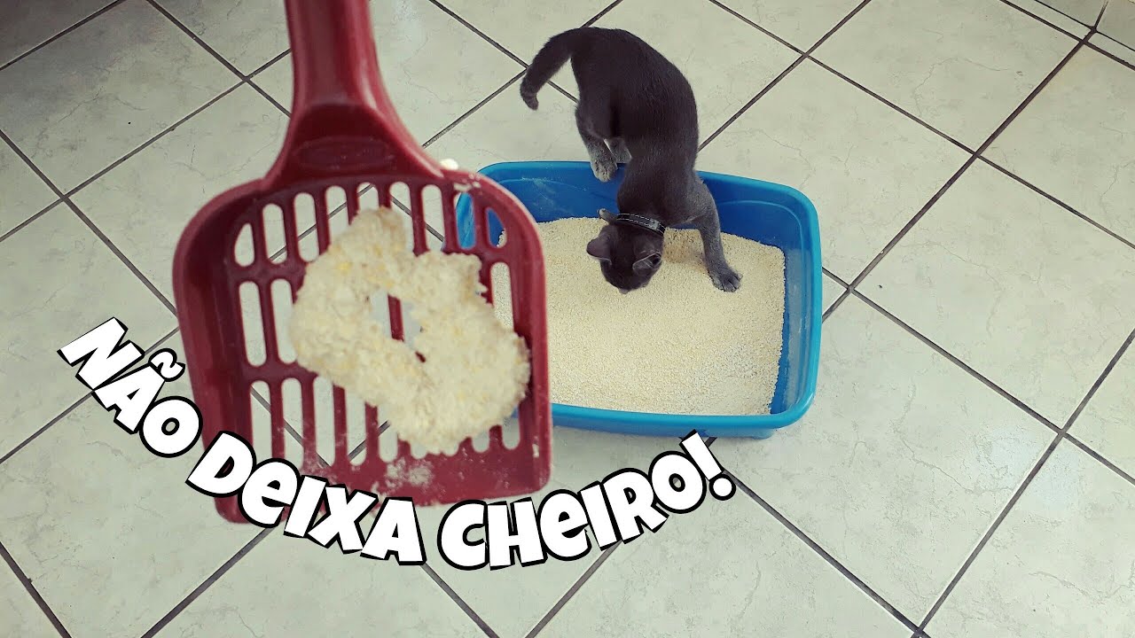 COMO FAZER AREIA DE GATO EM CASA