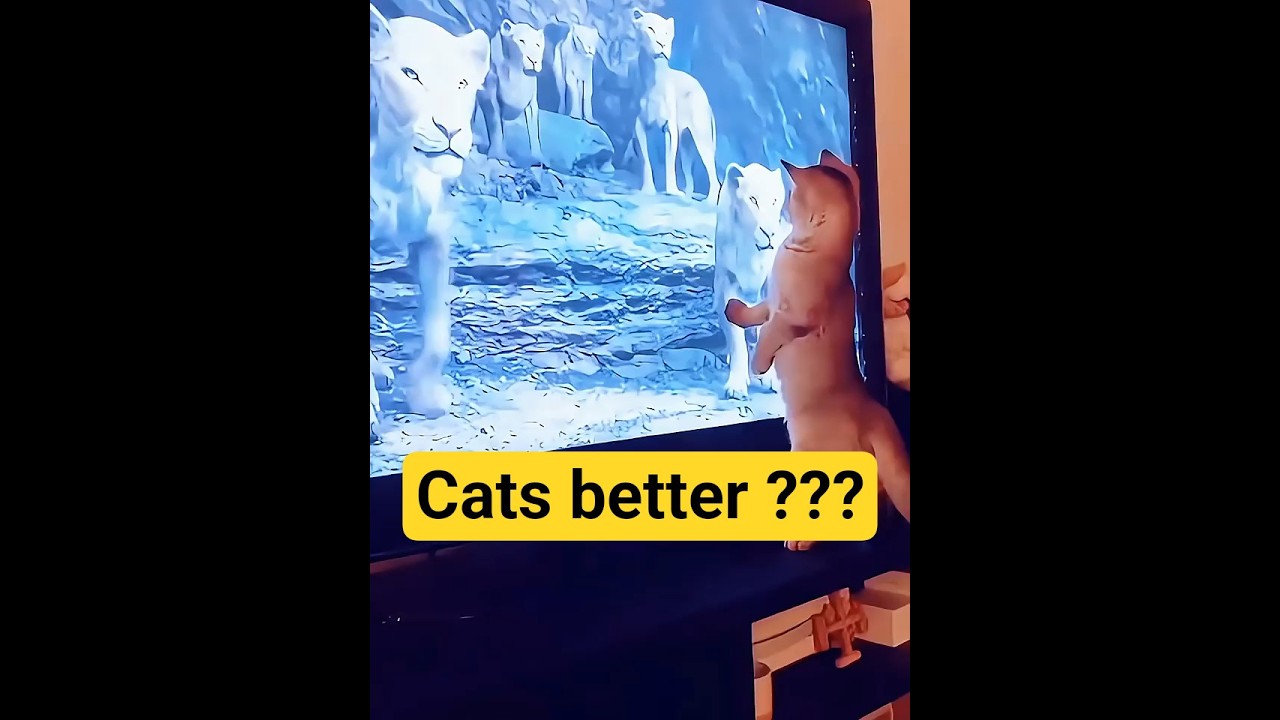 Whose reaction was better — Dogs or Cats? 🐶🐱👇  