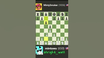 I play chess for the first time