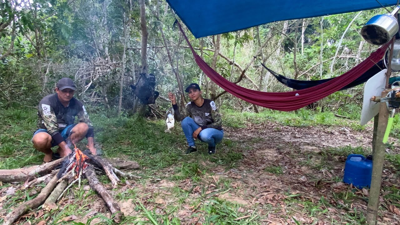 🏕️🦍🦜ACAMPAMOS EM ÁREA PERIGOSA COM MUITOS ANIMAIS SELVAGENS