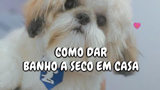 STEP BY STEP - HOW TO GIVE YOUR PET A DRY BATH AT HOME screenshot 5