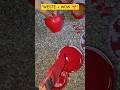 "Kulhad Se DIY Plant Pot Kaise Banaye 😍 | Waste to Pot 🌱 #shorts"