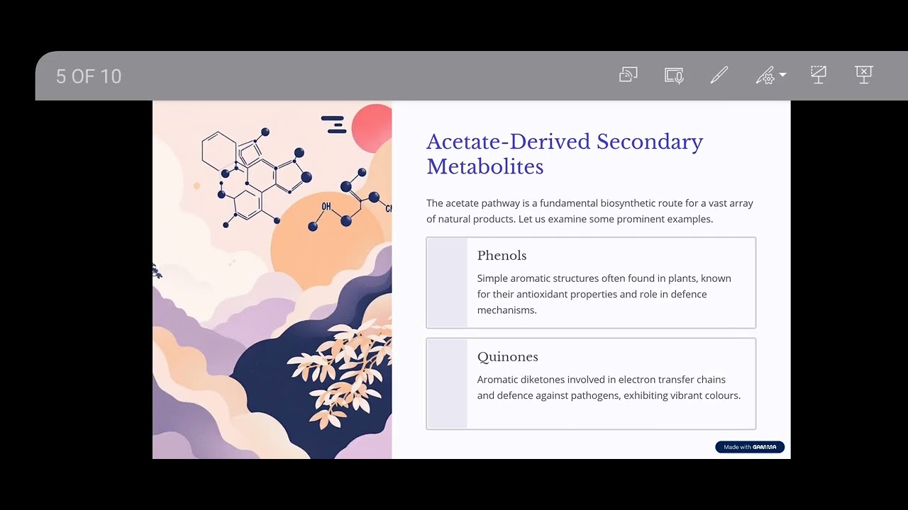 L25- Metabolic pathways 20