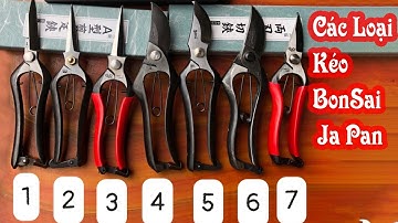 Những Mẫu kéo Nhật tốt nhất trên thị trường và mua kéo nhật ở đâu là tốt nhất