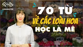 Từ vựng tiếng Anh cơ bản - 70 TỪ VỀ CÁC LOÀI HOA [Tiếng Anh giao tiếp Langmaster]