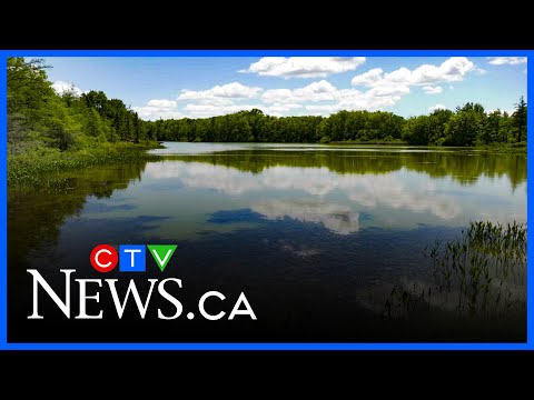 Blue Green Algae Cases Not As Bad As Last Year In Nova Scotia 