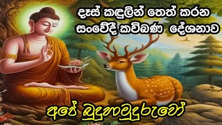 අපේ බුදුහාමුදුරුවෝ | කවිබණ 🙏 | Ape Budhu Hamudhuruwo | Kavibana 🙏