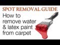 Get Paint Out Of Carpet