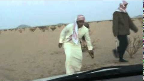 دحيم محمد بعد اذكار المساء رنيه 1431