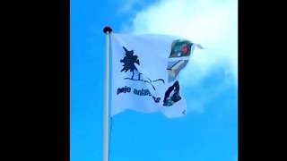 4Høje Anlægsservice - Flag I Vinden