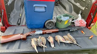 New Dove lease Sept 14 2024 South Texas