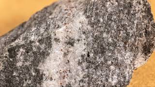 Famous Metamorphic Rock Biotite Gneiss and its Thin Section Wealth