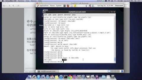 12 Linux文件系统挂载管理