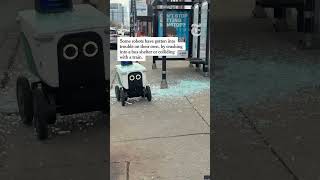 Americans Are ATTACKING Food Delivery Robots! #Robots #Automation #LamontTyson Update