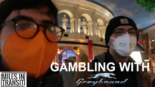 The Cheapest Way to Atlantic City Involves Greyhound and Gambling (feat. Classy Whale!)