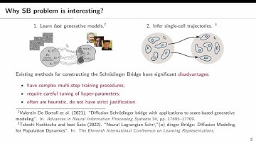 Light and Optimal Schrödinger Bridge Matching