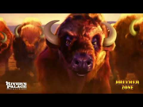 Buffalo Zone