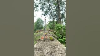 Mái mồi hạ thổ kích trống đẳng cấp