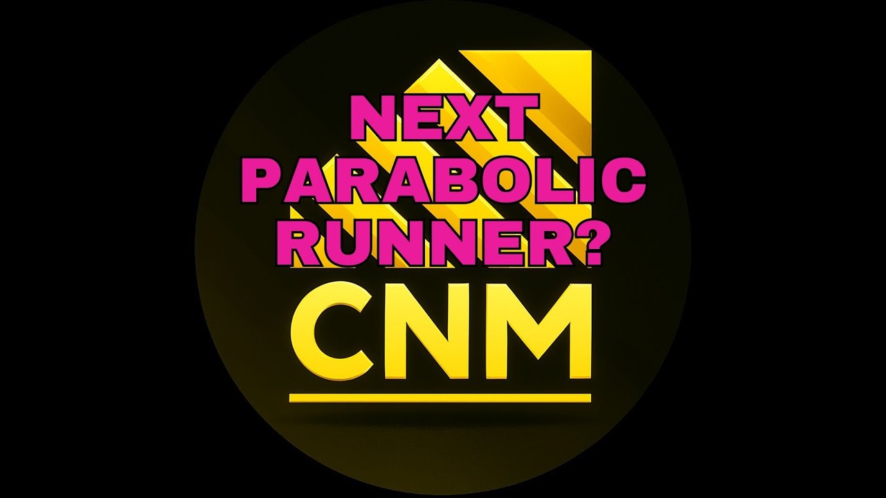 STOCK REVIEW - Linkage Global Inc  ($LGCB)