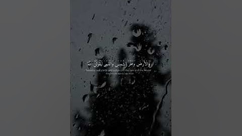 Surah Al-Ankaboot( سورة العنكبوت ) الَّذِينَ صَبَرُوا وَعَلَىٰ رَبِّهِمْ يَتَوَكَّلُونَ (59)