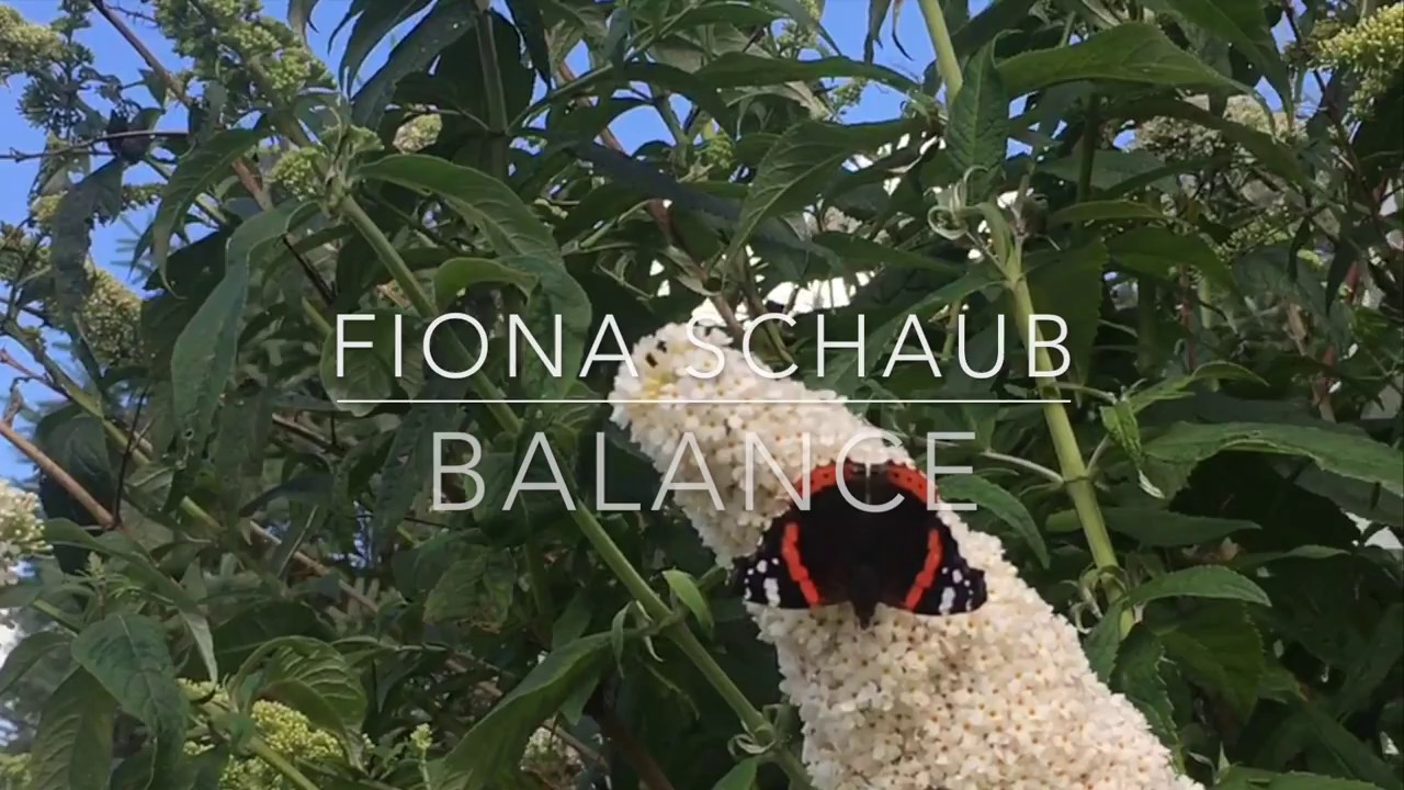 Fiona Schaub - Balance